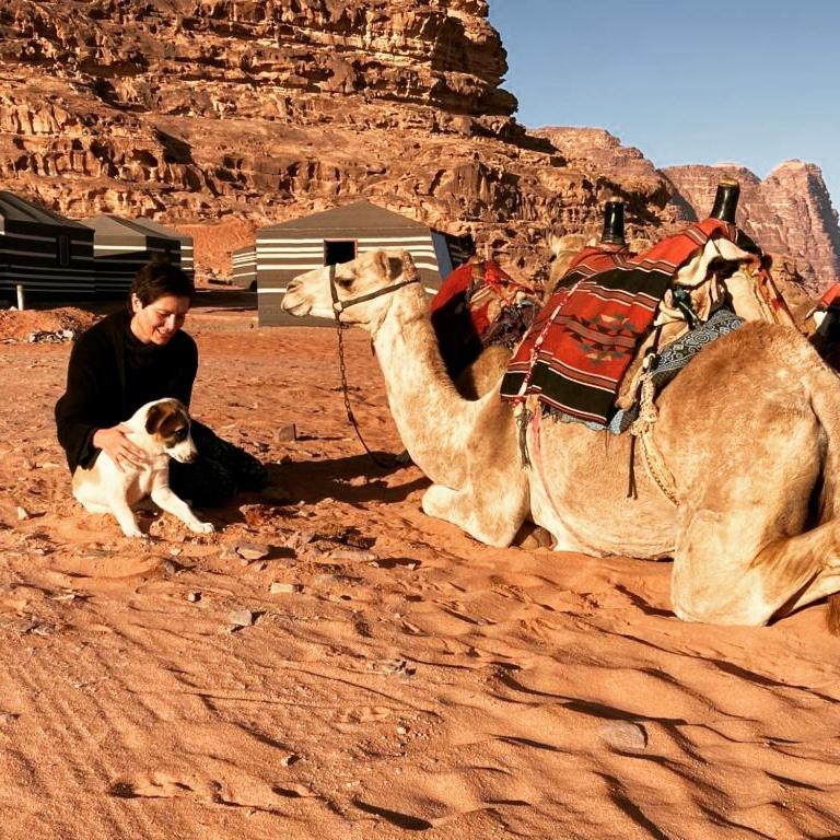 Desert Magic Camp & Resort Wadi Rum Exterior photo